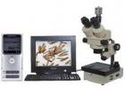 實(shí)體圖像顯微鏡或數(shù)碼攝影實(shí)體顯微鏡，配置了高清晰度的圖像傳感攝像機(jī) (或數(shù)碼相機(jī))，可以將顯微成像由計(jì)算機(jī)進(jìn)行處理、編輯、保存和輸出 (如打印等)或進(jìn)入多媒體系統(tǒng)及電子信箱。
